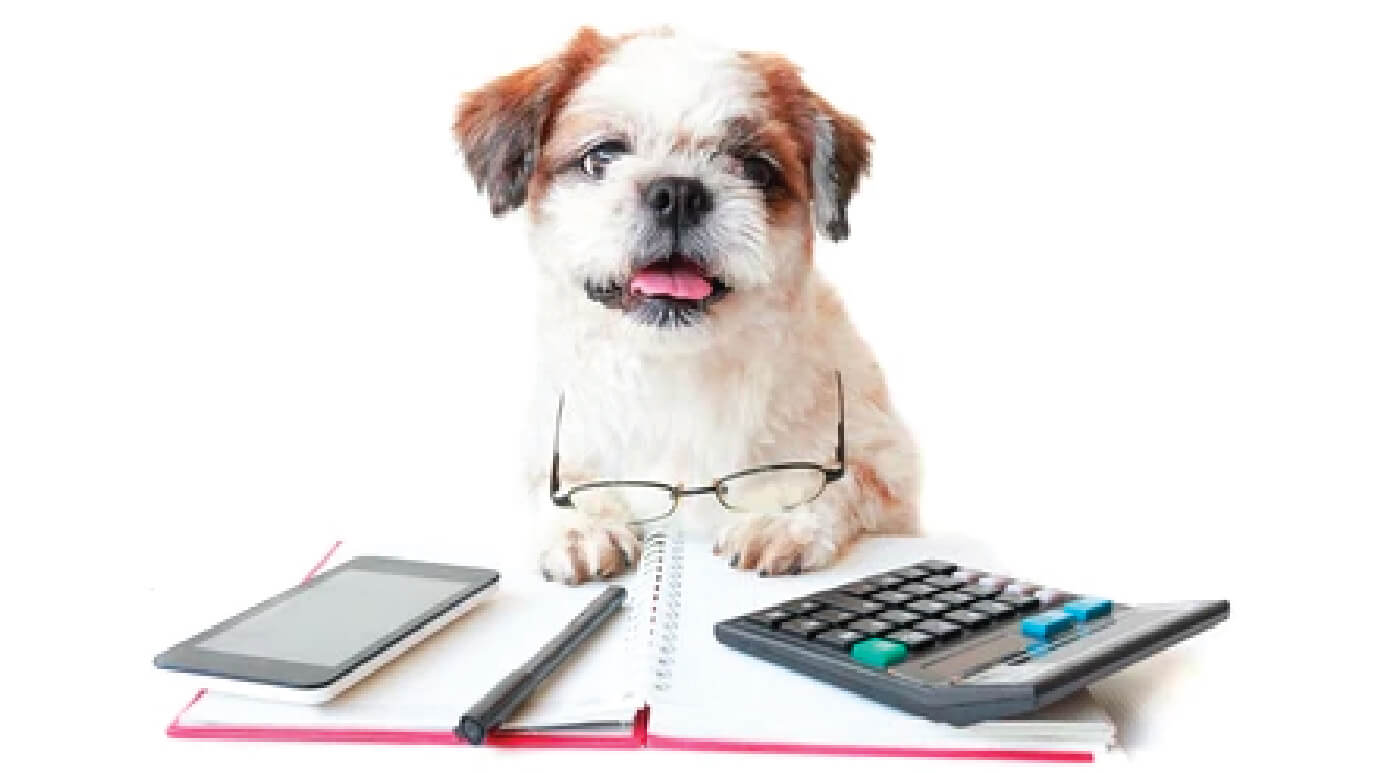 the best your pet can get | Pawfectly Made