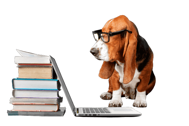 Pawfect Pet facts | Pawfectly Made