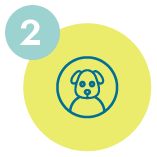 What is in the bowl | Step 2| Pawfectly Made