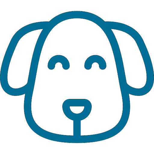 Dog's testimonial | Pawfectlymade