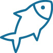 fish | Pawfectly Made