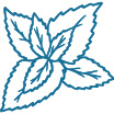 mint | Pawfectly Made