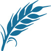 wheat | Pawfectly Made