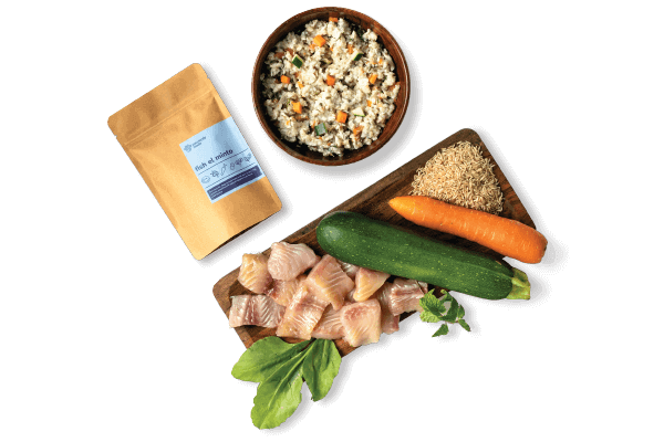 fish el minto | Pawfectly Made