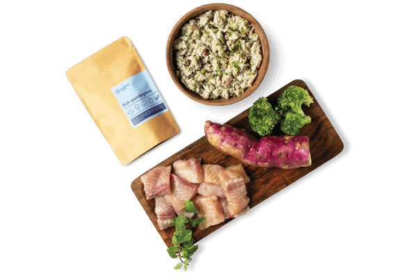 fish purrington | Pawfectly Made